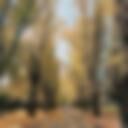 Fitzroy Gardens.jpg