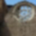 Winchester Palace 3