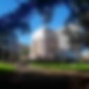 Sydney Walking Tours